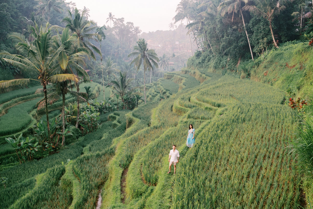 Greenery Ubud Proposal 3 Greenery Ubud Proposal 3