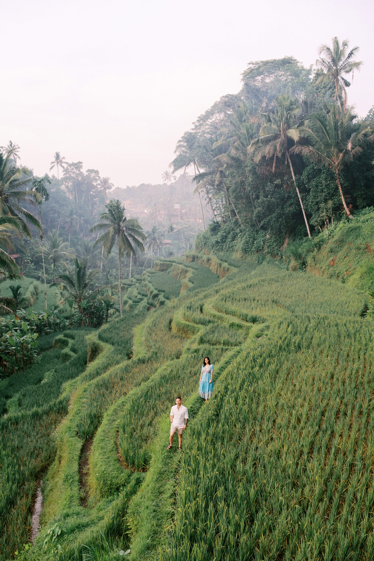 Greenery Ubud Proposal 4 Greenery Ubud Proposal 4