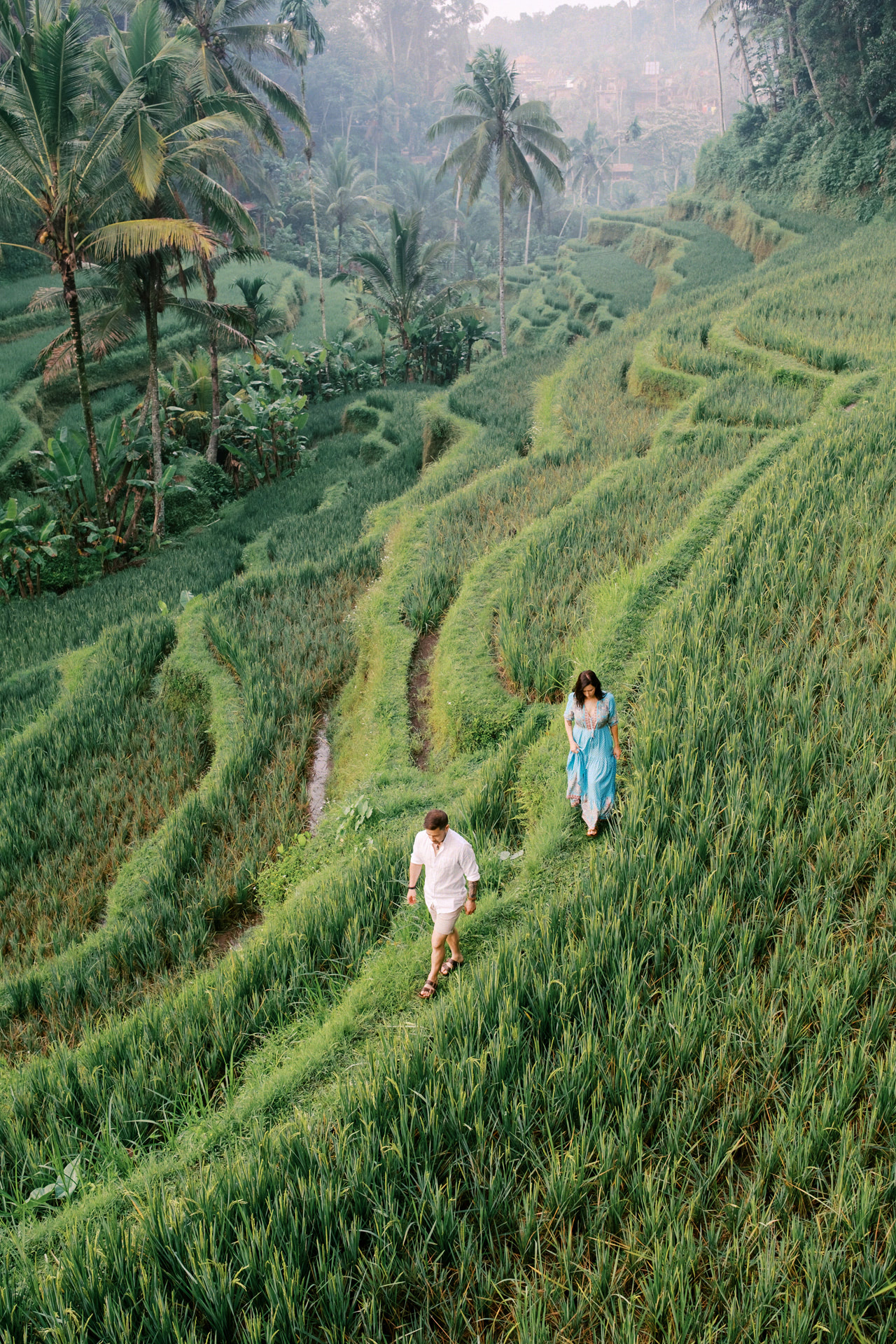 Greenery Ubud Proposal 5 Greenery Ubud Proposal 5