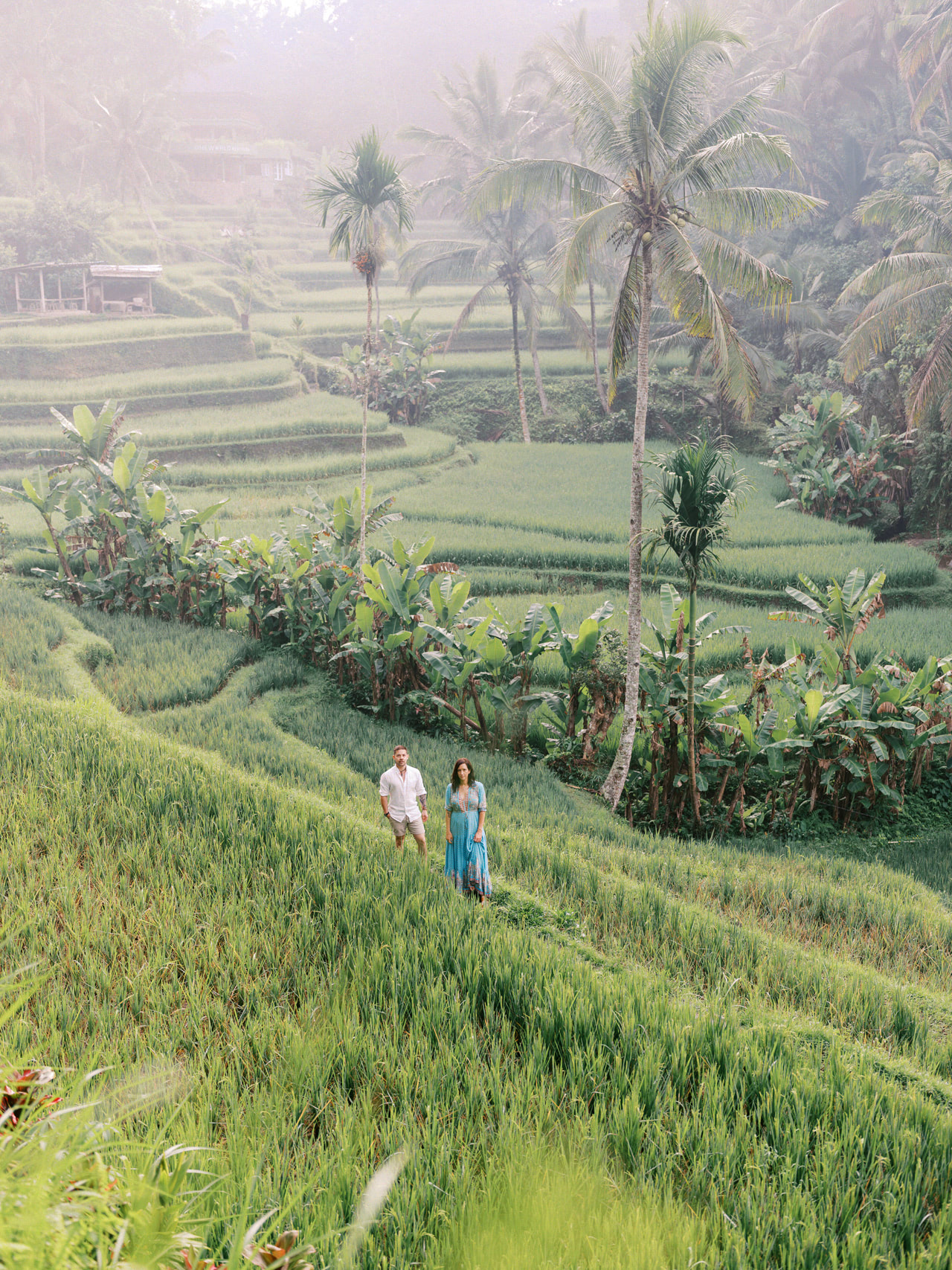 Greenery Ubud Proposal 7 Greenery Ubud Proposal 7