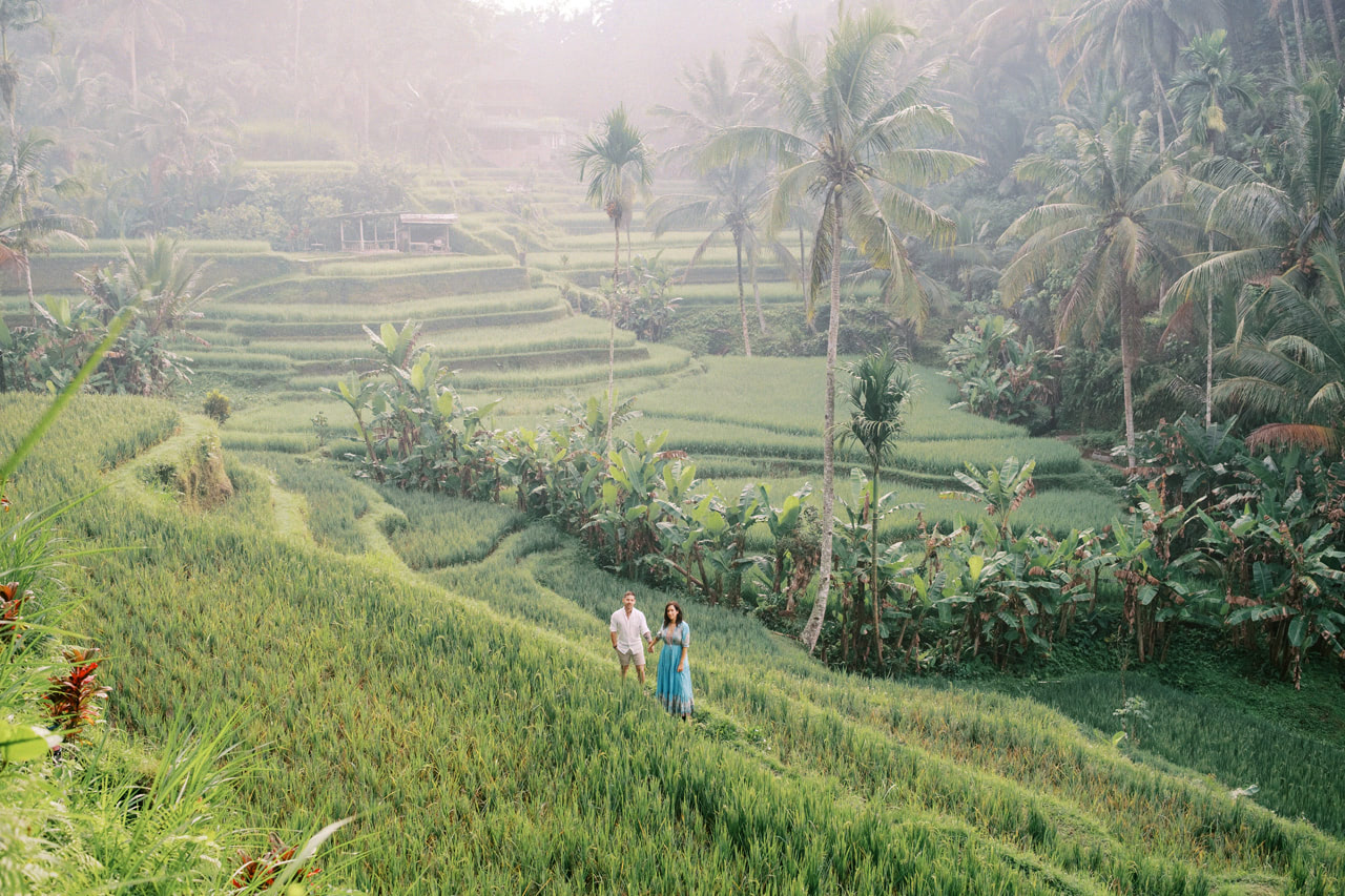 Greenery Ubud Proposal 8 Greenery Ubud Proposal 8