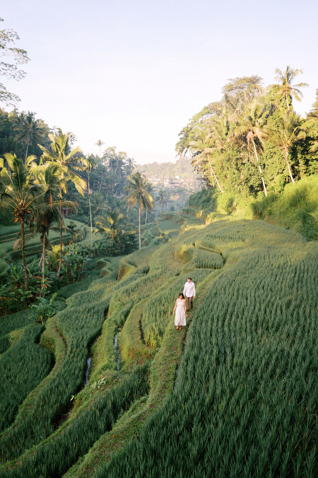 Ubud Proposal Photo | Romantic Bali Rice Terrace Proposal 7 Ubud Proposal Photo | Romantic Bali Rice Terrace Proposal 7