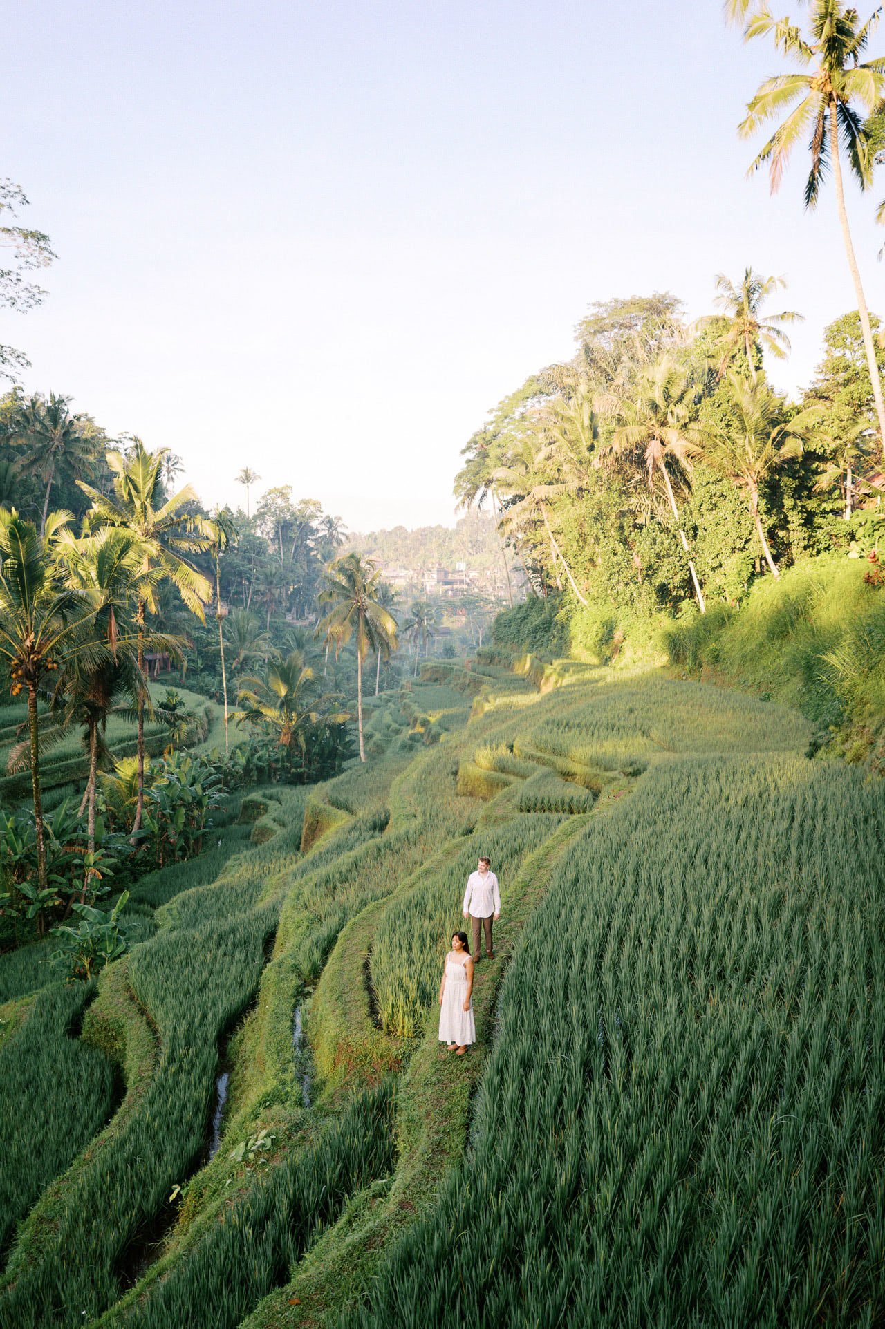 Ubud Proposal Photo | Romantic Bali Rice Terrace Proposal 8 Ubud Proposal Photo | Romantic Bali Rice Terrace Proposal 8