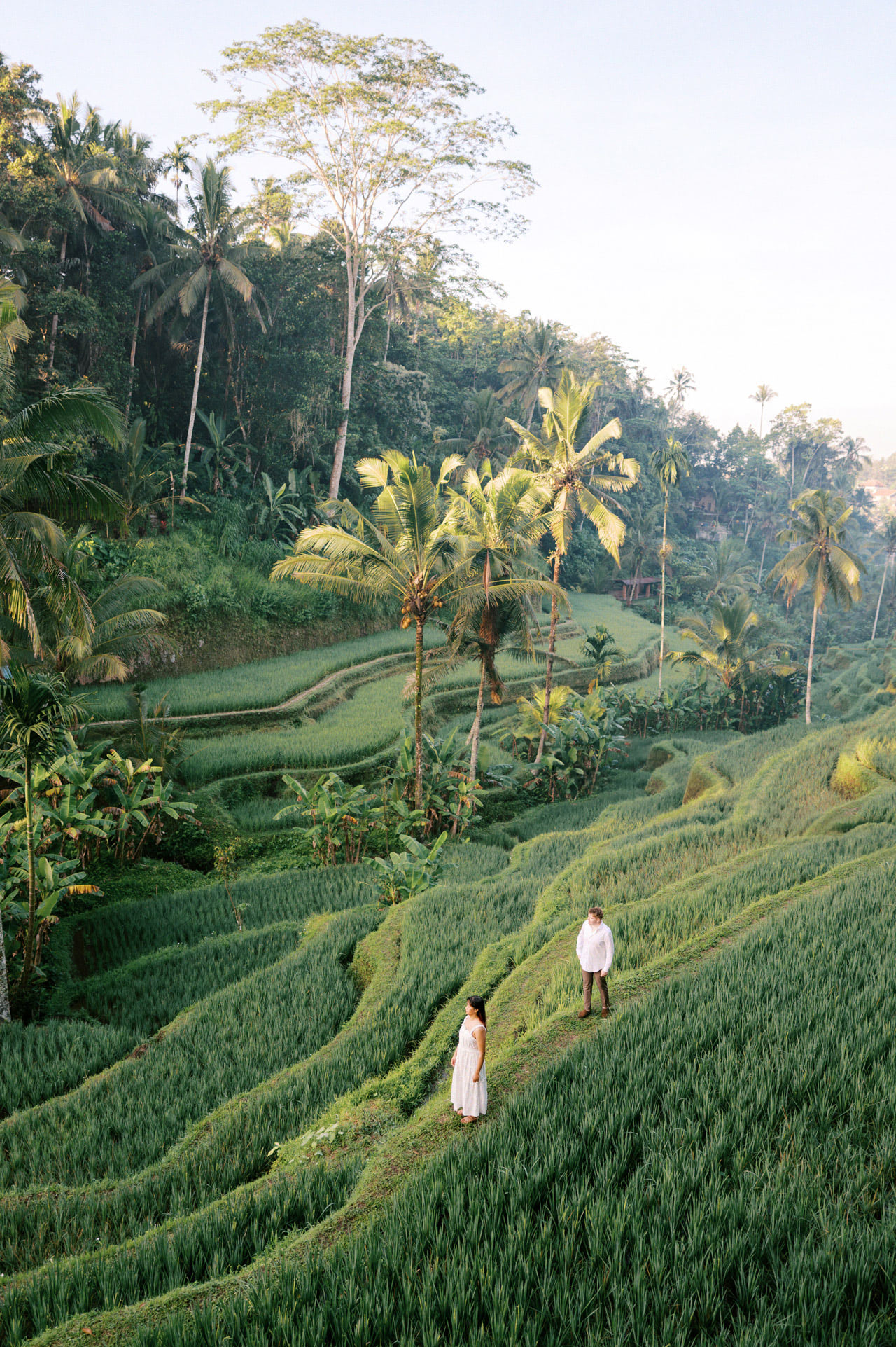 Ubud Proposal Photo | Romantic Bali Rice Terrace Proposal 9 Ubud Proposal Photo | Romantic Bali Rice Terrace Proposal 9
