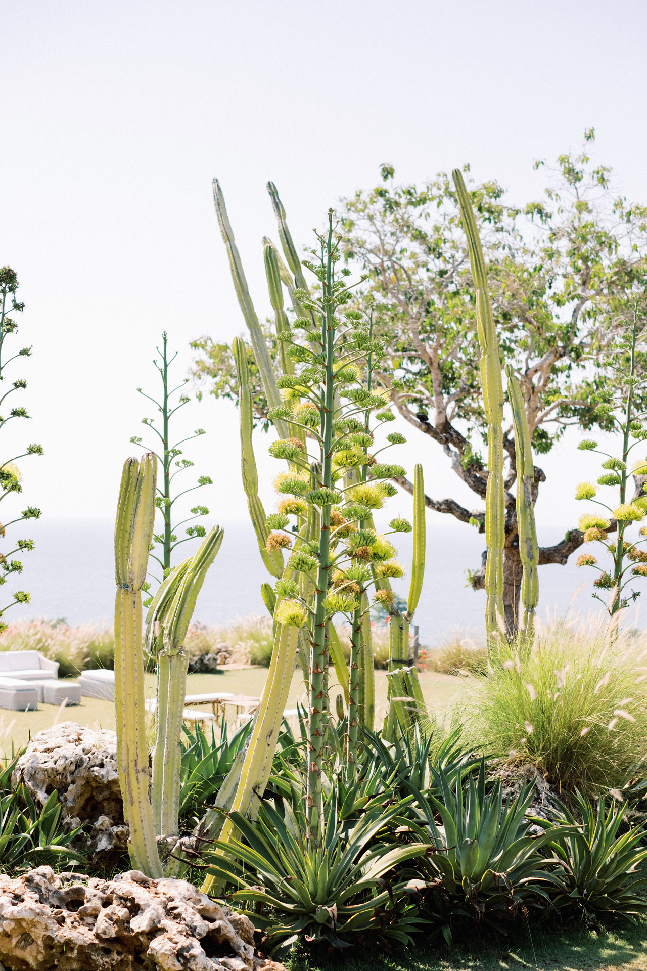 S&S: Colourful Puri Bhagawan Bali Wedding 17 Puri Bhagawan Clifftop Bali Wedding Venue